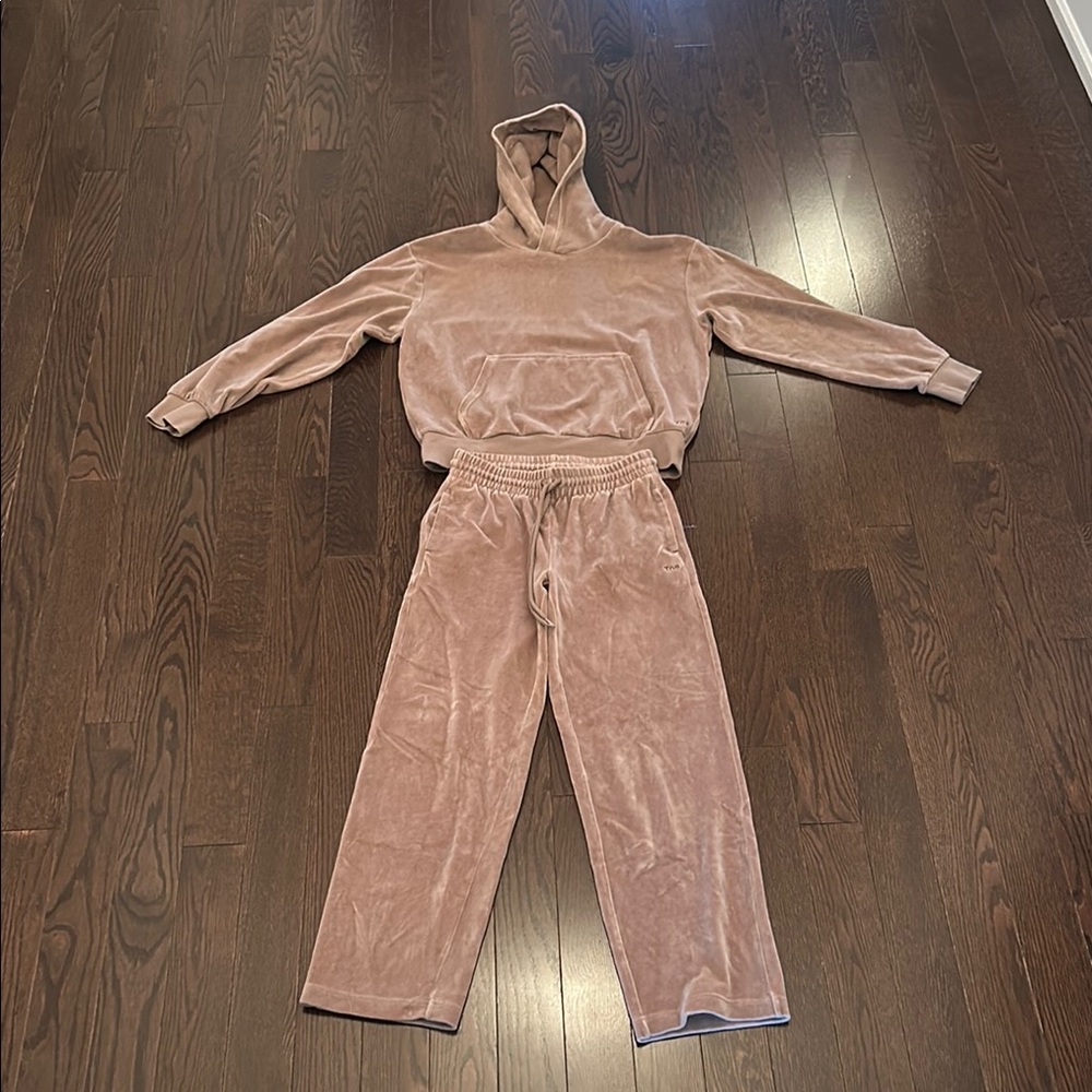 TNA - Aritzia Velour Hoodie and Jogger Set in Taupe